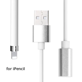 Metal USB 8Pin kadın şarj kablosu şarj için 9.7 10.5 12.9 iPad Pro kalem
