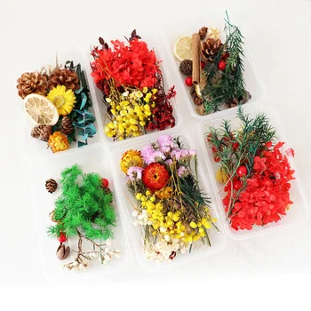200Pc Real Gedroogde Bloemen Voor Diy Art Craft Epoxyhars Kaars Maken Sieraden Thuis Party Decoratieve Droog Druk Bloemen