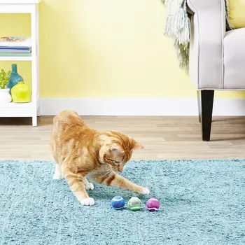 Çan Kedi Oyuncak ile KONG Tenis Topları