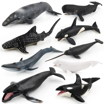 Deniz Yaşamı Hayvanlar Megalodon Yunus Işınları Balina Köpekbalığı Modeli Aksiyon Figürleri Okyanus Akvaryum Erken Eğitim Oyuncaklar Çocuklar Için Hediye